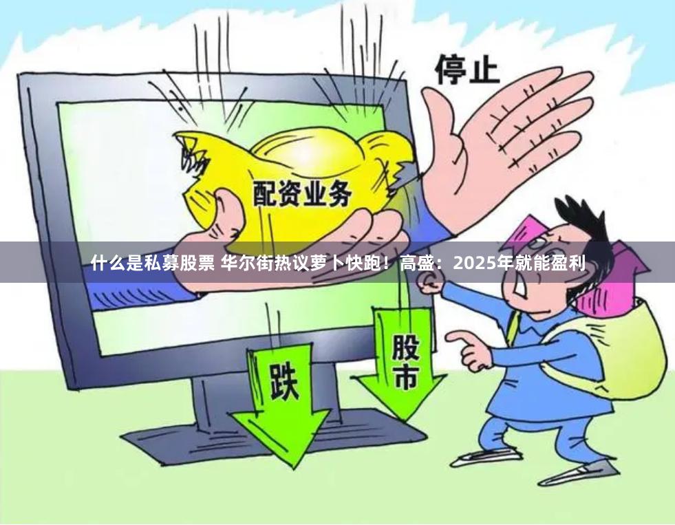 什么是私募股票 华尔街热议萝卜快跑!高盛:2025年就能盈利