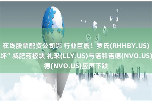 在线股票配资公司哪 行业巨震！罗氏(RHHBY.US)新药 “吓坏”减肥药板块 礼来(LLY.US)与诺和诺德(NVO.US)应声下跌
