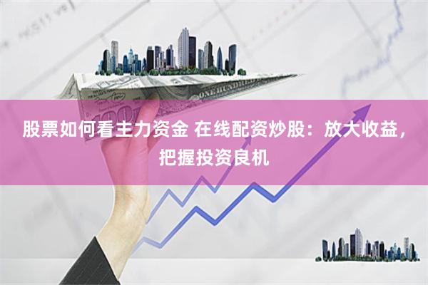 股票如何看主力资金 在线配资炒股：放大收益，把握投资良机